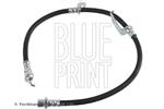 BLUE PRINT - Remslang - ADBP530022