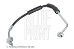 BLUE PRINT - Remslang - ADA105318
