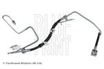 BLUE PRINT - Remslang - ADA105344C