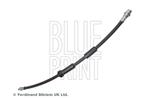 BLUE PRINT - Remslang - ADB115301