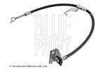 BLUE PRINT - Remslang - ADBP530016