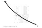 BLUE PRINT - Remslang - ADH253196