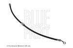 BLUE PRINT - Remslang - ADH253200