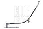 BLUE PRINT - Remslang - ADBP530029