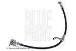 BLUE PRINT - Remslang - ADBP530031