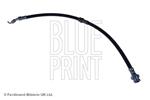 BLUE PRINT - Remslang - ADM55368