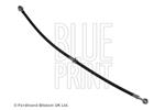 BLUE PRINT - Remslang - ADN153133